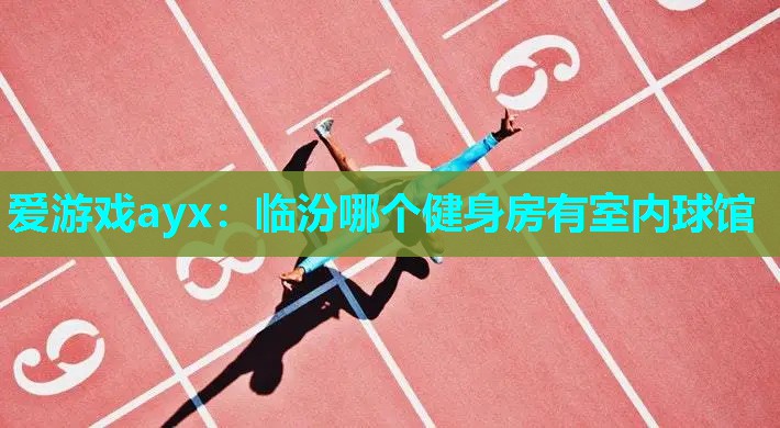 爱游戏ayx：临汾哪个健身房有室内球馆