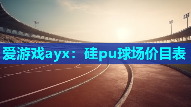 爱游戏ayx：硅pu球场价目表