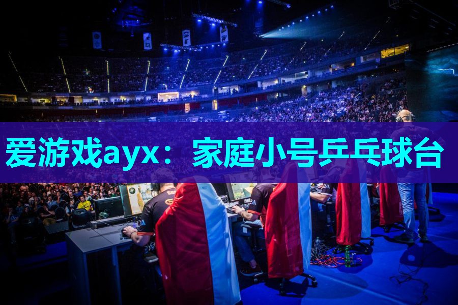 爱游戏ayx：家庭小号乒乓球台