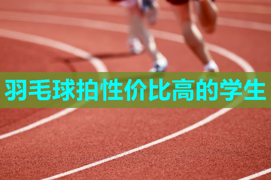 羽毛球拍性价比高的学生