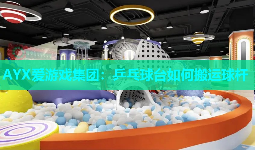 乒乓球台如何搬运球杆 乒乓球台如何搬运球杆