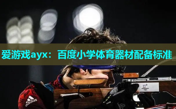 百度小学体育器材配备标准 百度小学体育器材配备标准