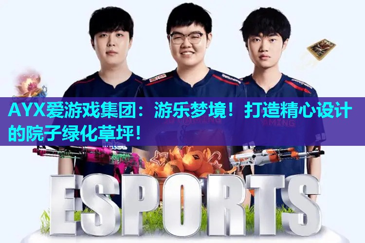 游乐梦境!打造精心设计的院子绿化草坪! 游乐梦境!打造精心设计的院子绿化草坪!