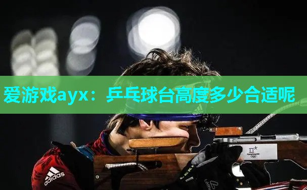 乒乓球台高度多少合适呢 乒乓球台高度多少合适呢