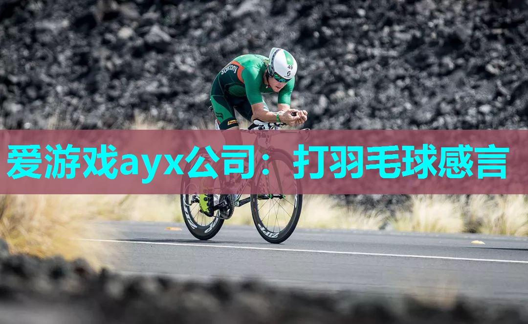 打羽毛球感言 打羽毛球感言