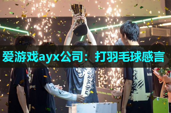 打羽毛球感言 打羽毛球感言