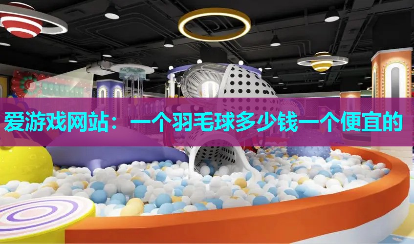 一个羽毛球多少钱一个便宜的 一个羽毛球多少钱一个便宜的