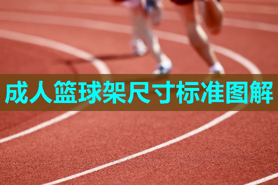 成人篮球架尺寸标准图解 成人篮球架尺寸标准图解