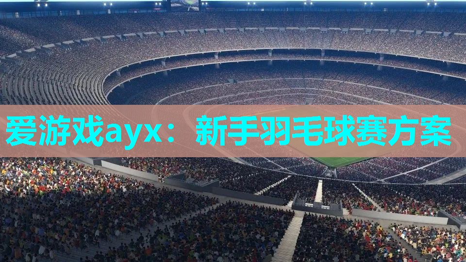 新手羽毛球赛方案 新手羽毛球赛方案
