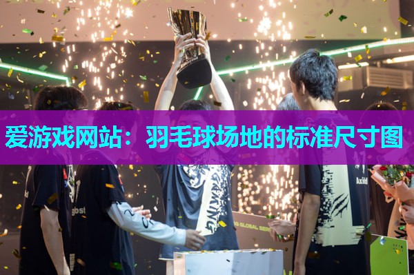 羽毛球场地的标准尺寸图 羽毛球场地的标准尺寸图